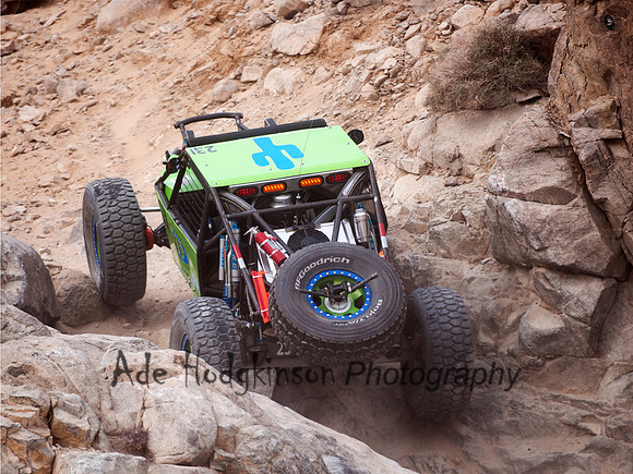 2014 King of the Hammers - Bryan Maloney - #231
