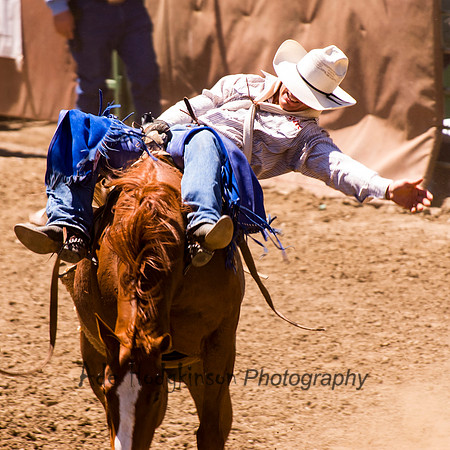 Bareback Bronc - Rowell Ranch Rodeo