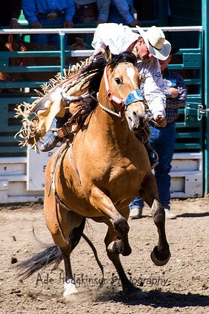Saddle Bronc - Rowell Ranch Rodeo