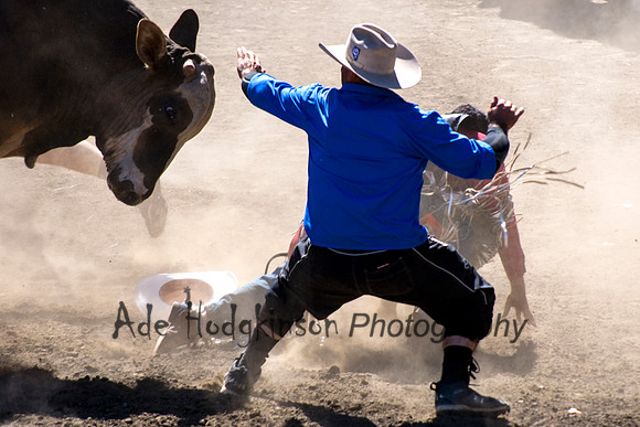 Bull Riding - Rowell Ranch Rodeo