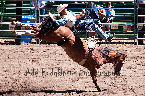 Bareback Bronc -Truckee Rodeo
