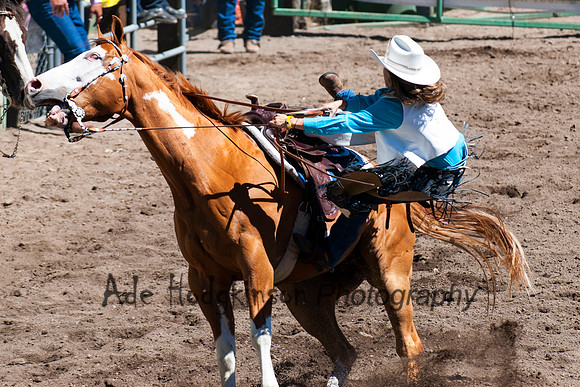 General - Truckee Rodeo