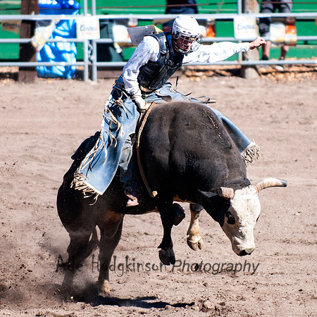 Bull Riding - Truckee Rodeo