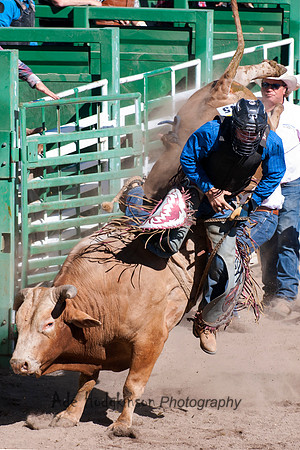 Bull Riding - Truckee Rodeo