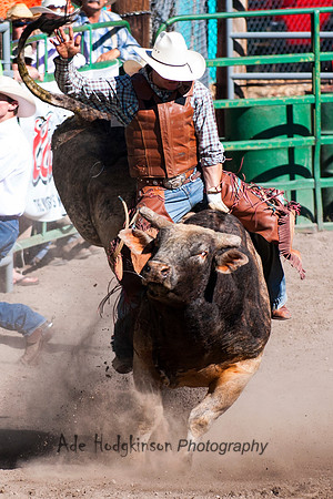Bull Riding - Truckee Rodeo