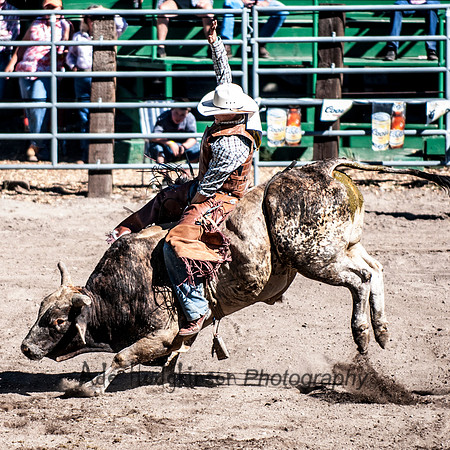 Bull Riding - Truckee Rodeo