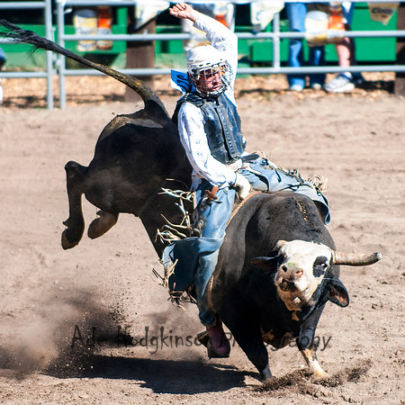Bull Riding - Truckee Rodeo