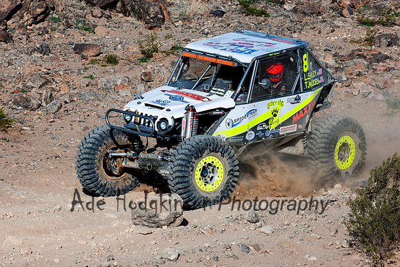 2014 King of the Hammers - Levi Shirley - #81