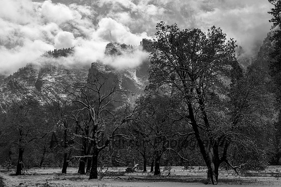 Valley Floor - Yosemite