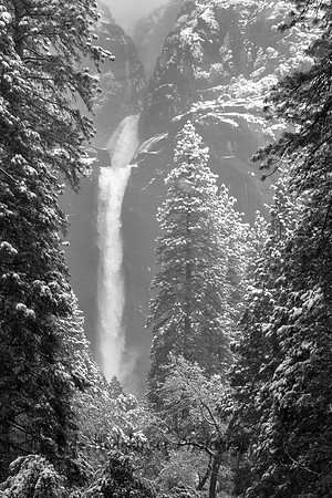 Lower Yosemite Fall - Yosemite