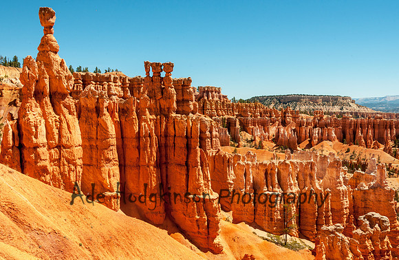 Bryce Canyon UT