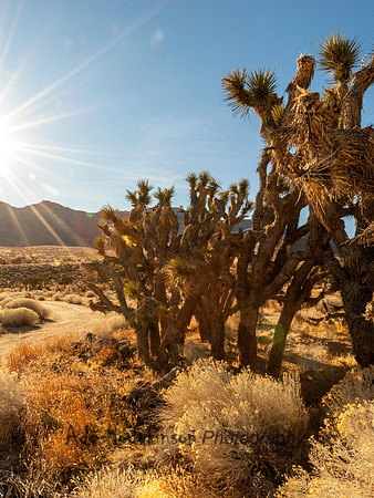 Death Valley CA