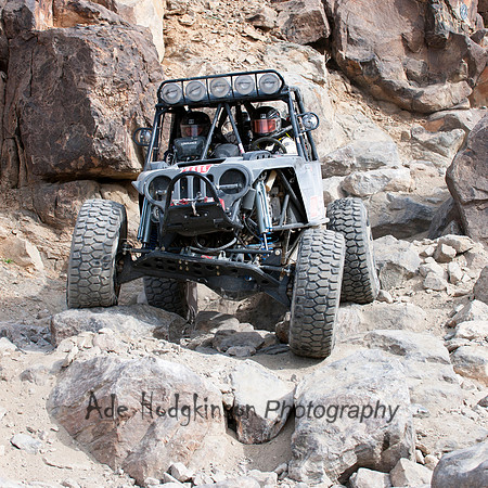 2014 King of the Hammers - Corey Kuchta - #4464